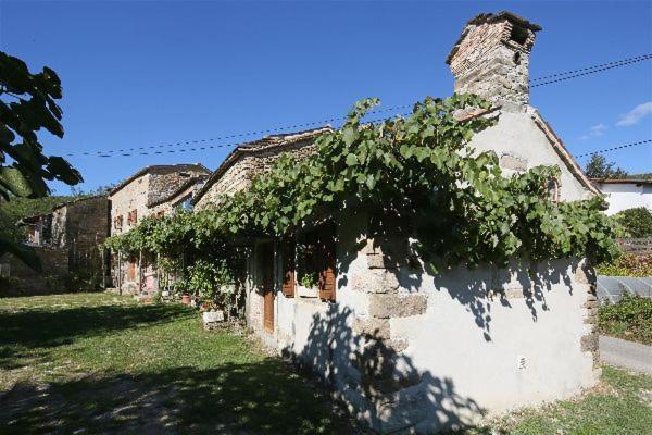 Istrian Experience Villa Socerga Luaran gambar